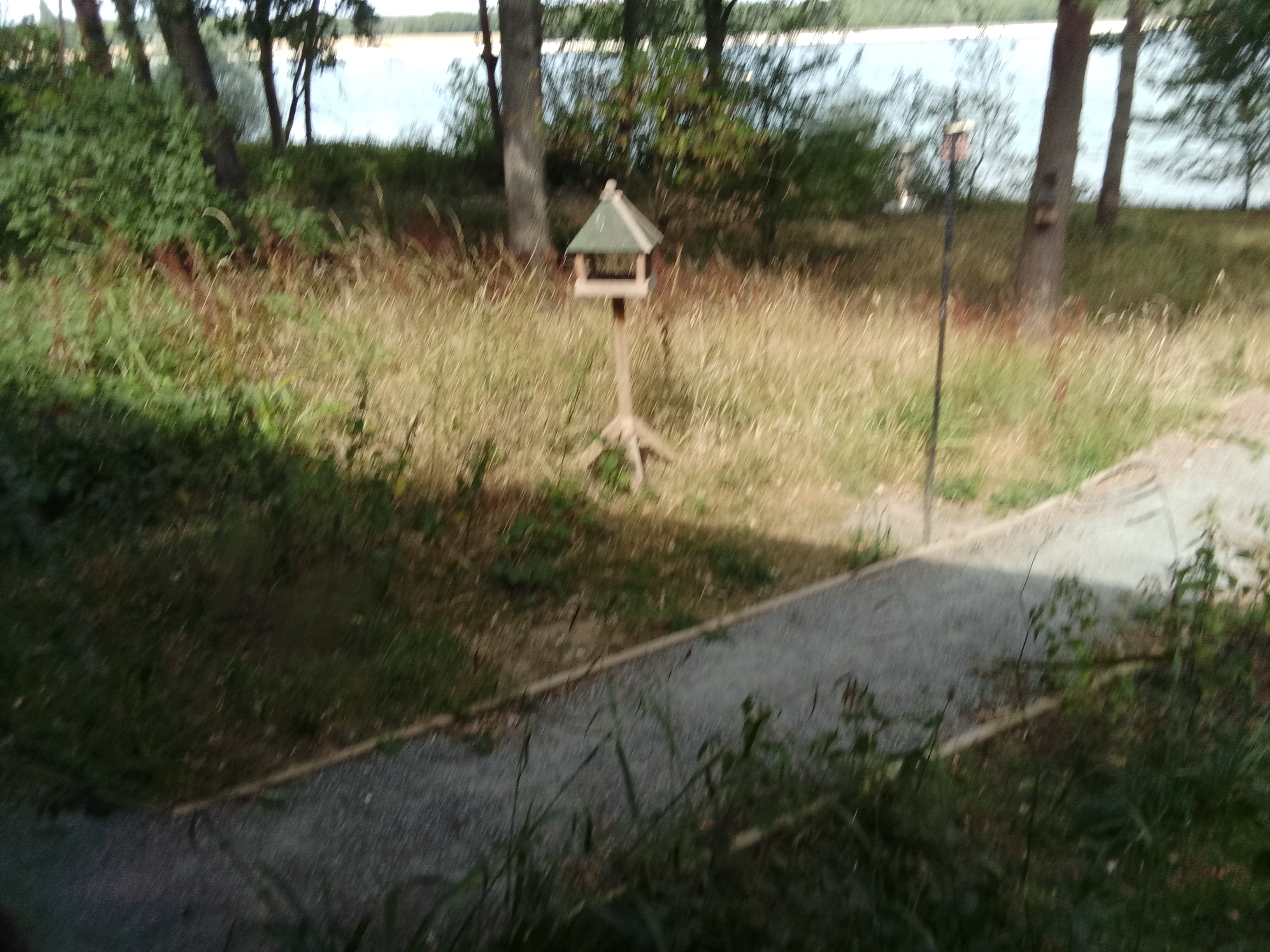 Wooden bird box along trail