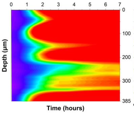 Heterogeneous strain field plot showing depth versus time