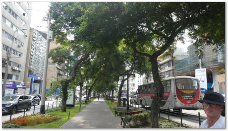 Rajdeep Mondal, Chinnapat Panwisawas and Harry Bhadeshia in Peru 7