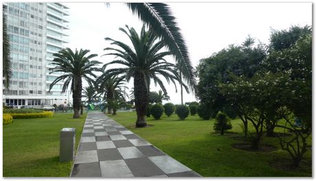 Rajdeep Mondal, Chinnapat Panwisawas and Harry Bhadeshia in Peru 15